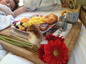 breakfastinbed