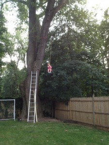 l on ropeswing